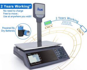 ACLAS Price Scale with Pole 30kg 2g