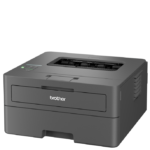 Brother HL-L2400DWE